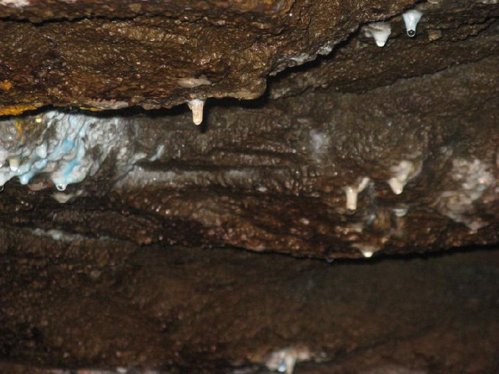 Mine 005.JPG